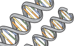 AppStream_UseCases_Science AppStream_UseCases_Science