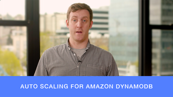 DynamoDB DynamoDB