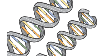 DNA_resize DNA_resize