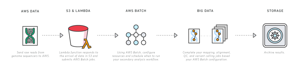 DNA シーケンシング
