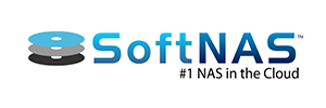 300x100_SoftNas